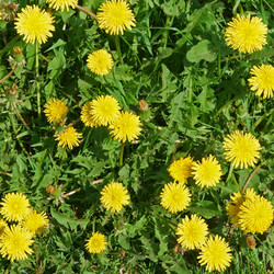 Similar image 1150931