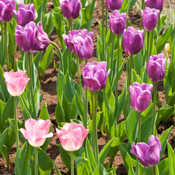 Similar image 1150932