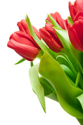 Similar image 1150986