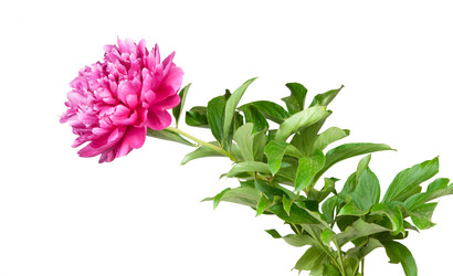 Similar image 1151005