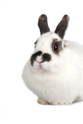 Similar image 1151006