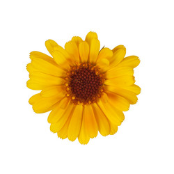 Similar image 1151007