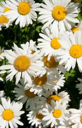 Similar image 1151013