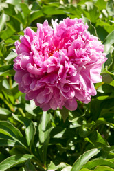 Similar image 1151022