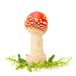 Similar image 1151146