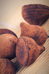 Similar image 1151199