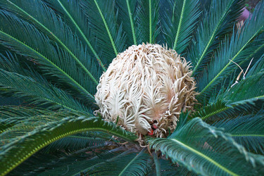 Similar image 1151208