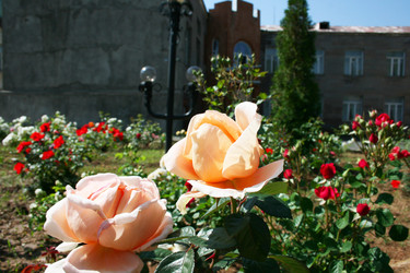 Similar image 1151209