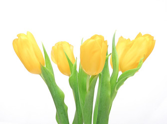 Similar image 1151229