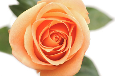 Similar image 1151238