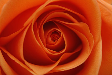 Similar image 1151239