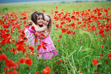 Similar image 1152427