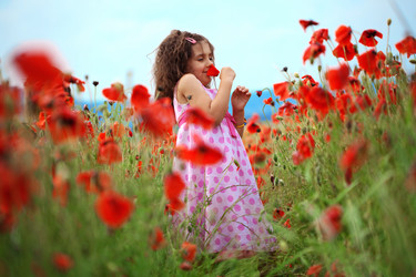 Similar image 1152479