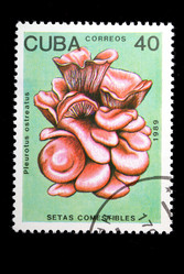 Similar image 1153824