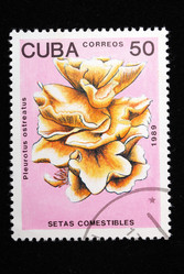 Similar image 1153825