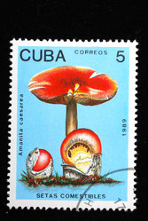 Similar image 1153826