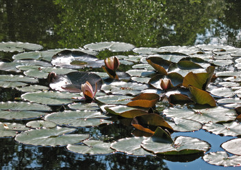 Similar image 1153828