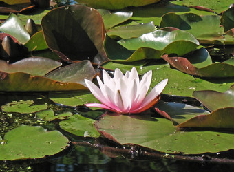 Similar image 1153829