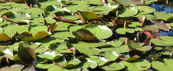 Similar image 1153833