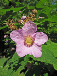 Similar image 1153835