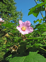 Similar image 1153836