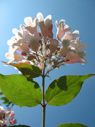 Similar image 1153837