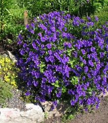 Similar image 1153839