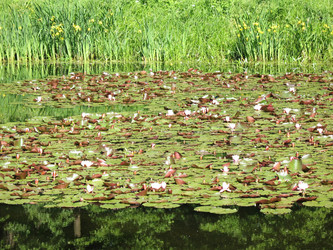 Similar image 1153843