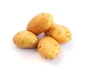 Similar image 1153846