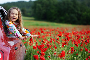 Similar image 1153857