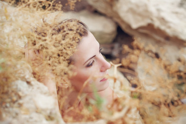 Similar image 1153884