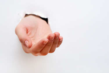 Similar image 1154296