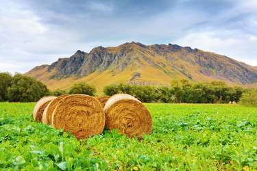 Similar image 1154717