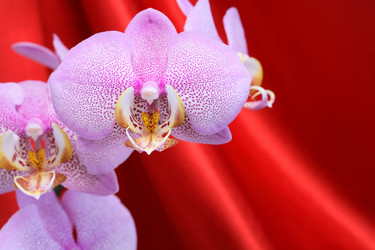 Similar image 1155221