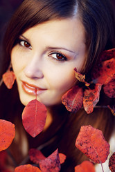 Similar image 1155239