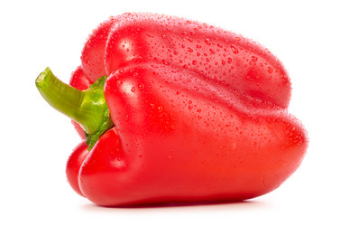 Similar image 1155251