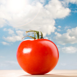 Similar image 1155257