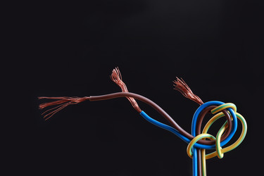 Similar image 1155287