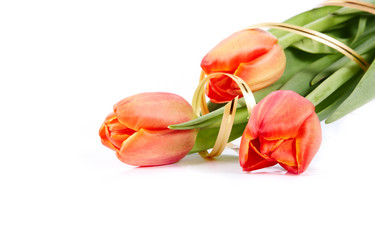 Similar image 1155292