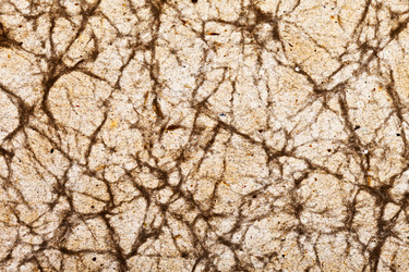 Similar image 1155444