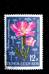 Similar image 1156051