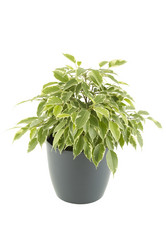 Similar image 1156603