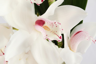 Similar image 1156606