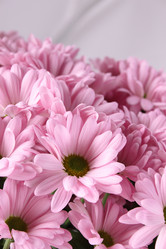 Similar image 1156666