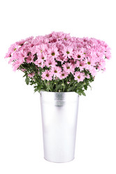 Similar image 1156668