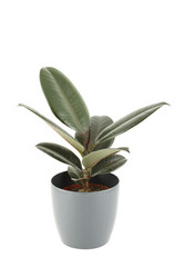 Similar image 1156673