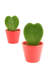 Similar image 1156674