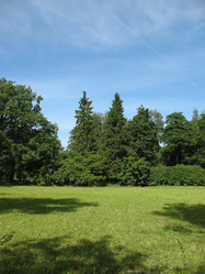 Similar image 1156874