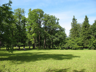 Similar image 1156886