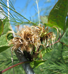 Similar image 1156888